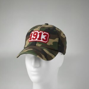 Delta Sigma Theta "1913" Distressed Camo D9 Greek Wear Cap