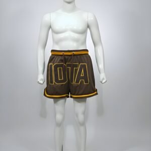 The Iota Phi Theta "Centaur" Athletic Mesh Shorts